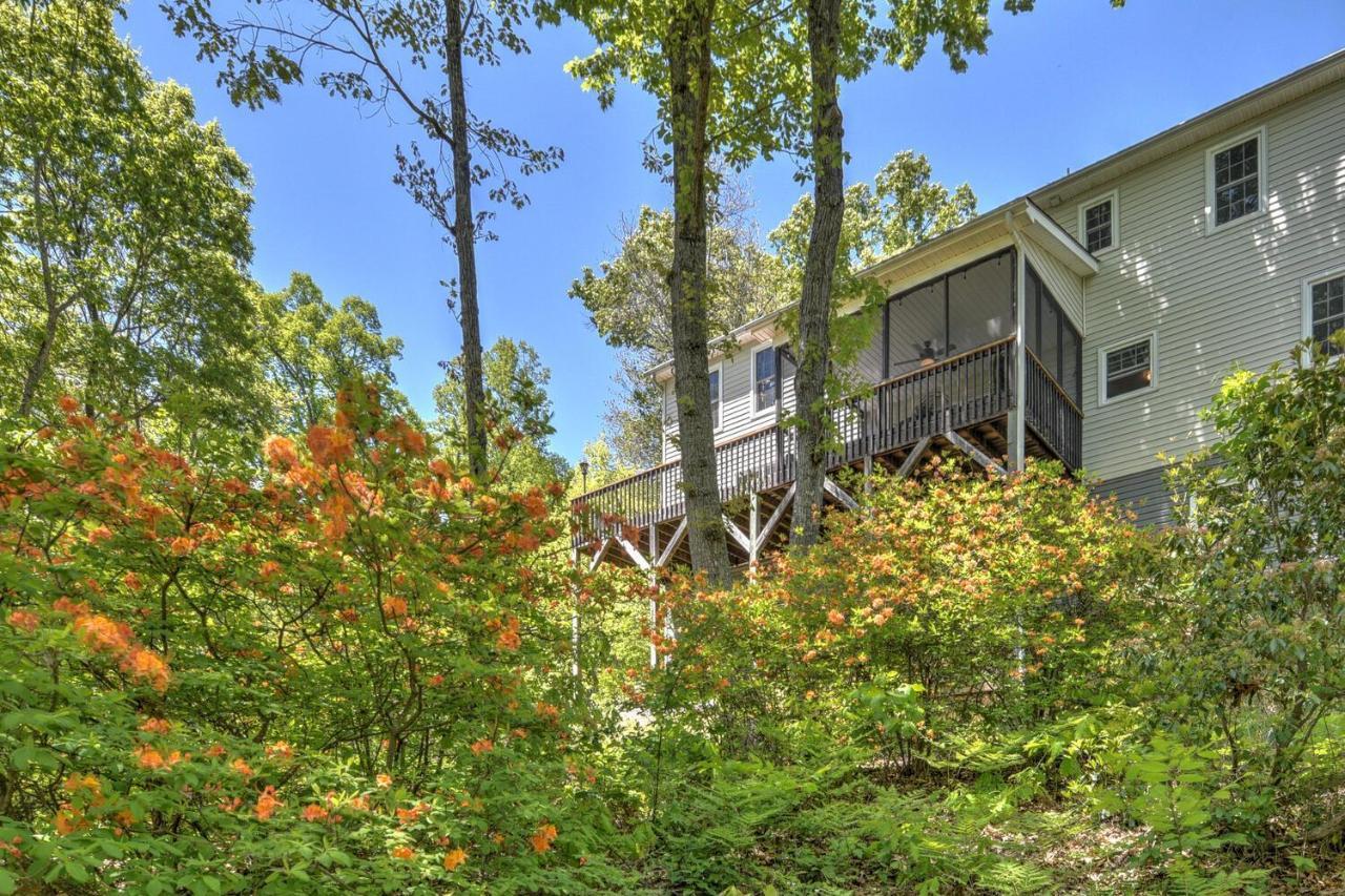 915 Town Mountain Rd Villa Asheville Dış mekan fotoğraf